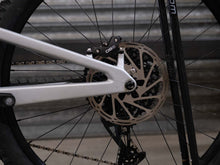 Load image into Gallery viewer, Ex Demo Santa Cruz Heckler SL Carbon C - S Kit - Large / Silver
