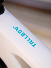 Load image into Gallery viewer, Ex Demo Santa Cruz Tallboy Carbon C - GX AXS / Medium / White